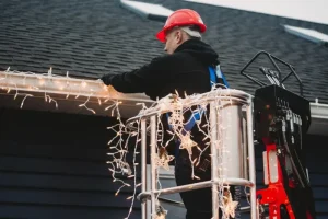 Christmas-Lights_2_web-size-800x534